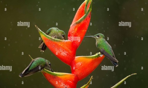 冠心病人运动项目-专业冠心病人运动项目指南平台-冠心病人合理运动