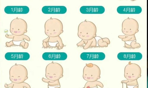 冠心病人合理运动-冠心病人运动项目-专业冠心病人运动项目指南平台-冠心病人合理运动