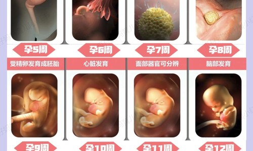 冠心病人运动项目-专业冠心病人运动项目指南平台-冠心病人合理运动